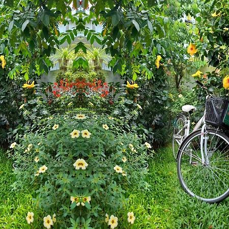 Apartament Star Garden Hoi An Zewnętrze zdjęcie