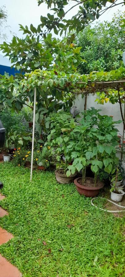 Apartament Star Garden Hoi An Zewnętrze zdjęcie