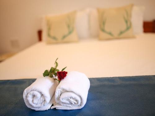 Apartament Star Garden Hoi An Zewnętrze zdjęcie