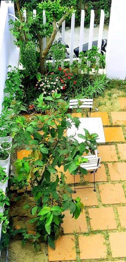 Apartament Star Garden Hoi An Zewnętrze zdjęcie